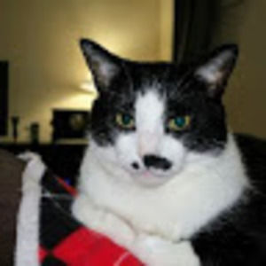 Meet your Posher, Debra